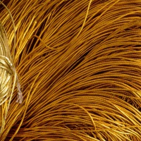 elastic rope